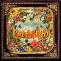 PANIC! AT THE DISCO - Pretty Odd [LP]
