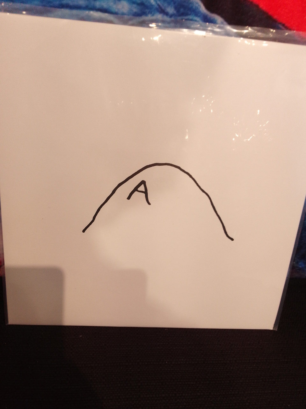 THE GEM SHOW A Mountain LP