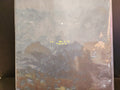 LA MORTE YOUNG A Quiet Earthquake Style + 7inch LP