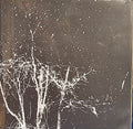 Silver Godling and Thou Split LP