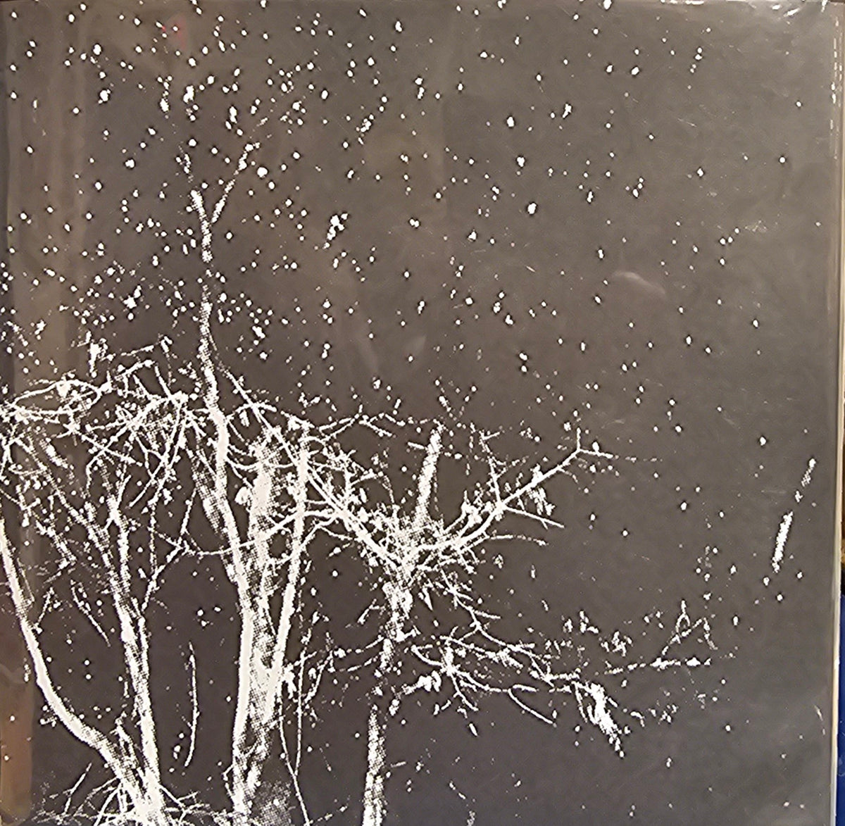 Silver Godling and Thou Split LP
