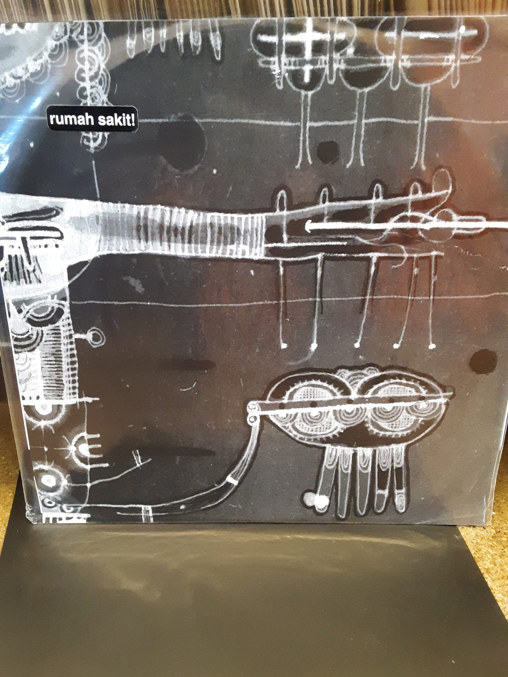 RUMAH SAKIT Obscured by Clowns [LP]
