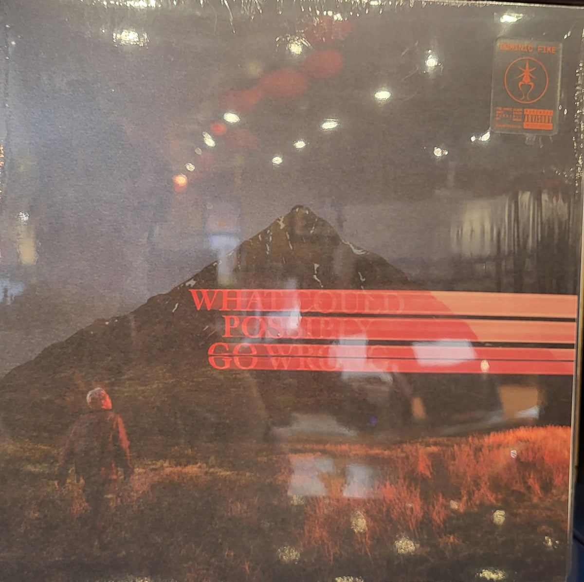FIKE, DOMINIC - What Could Possibly Go Wrong [LP]