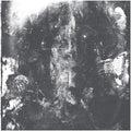 Rotting Sky - Sedation (LP)
