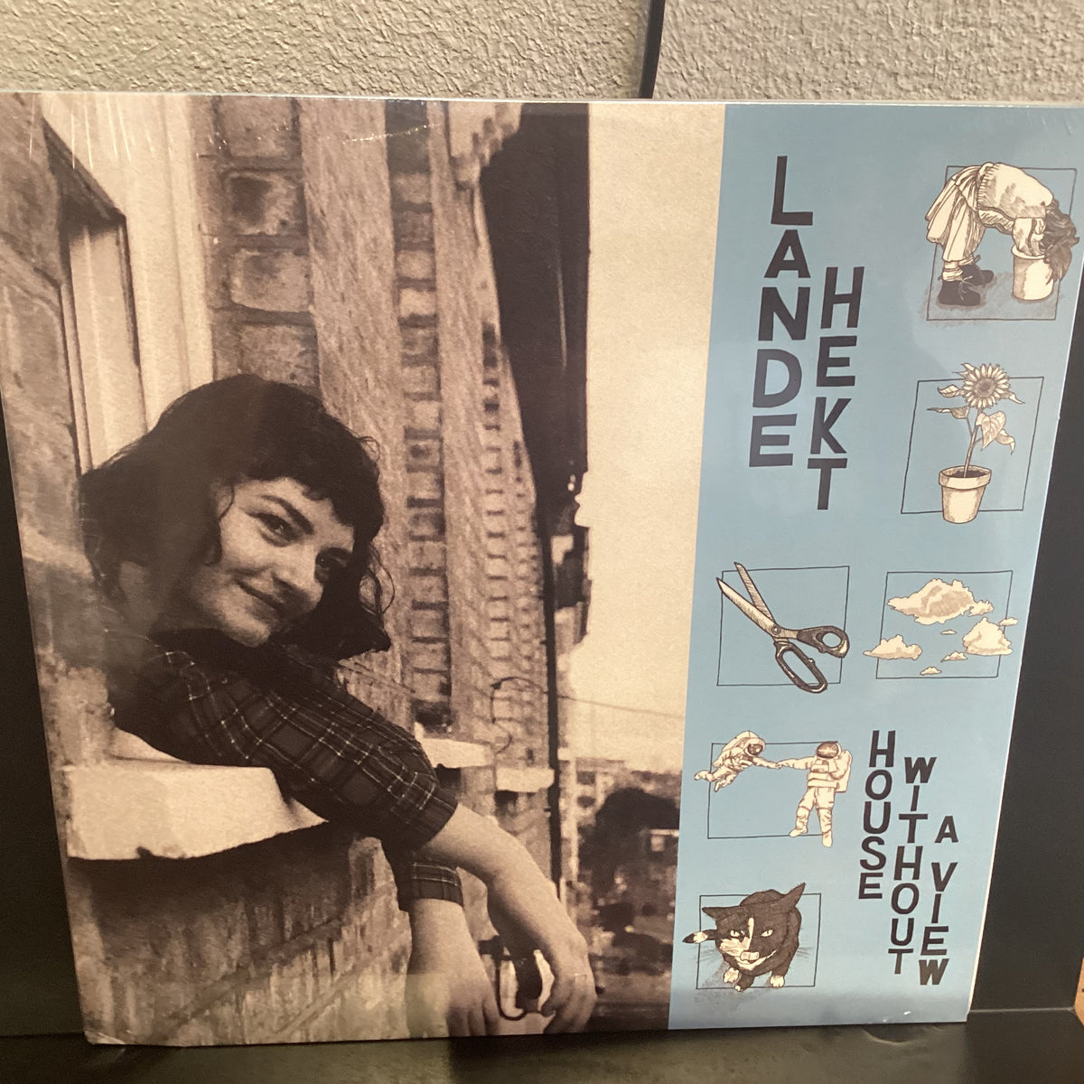 LANDE HEKT - HOUSE WITHOUT A VIEW (PURPLE MARBLE VINYL)