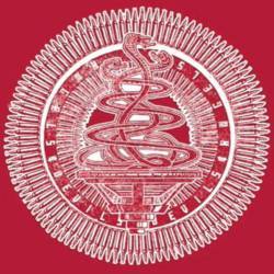 THE BUG zim zim zum 12 inch