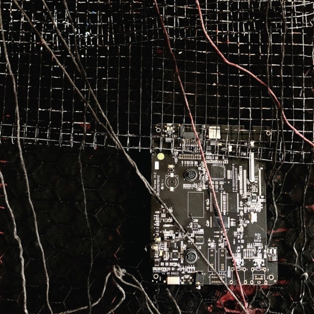 MERZBOW / PRURIENT - BLACK CROWS CYBORG (BLACK)