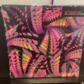 BITCHIN BAJAS - BAJASCILLATORS (2LP)