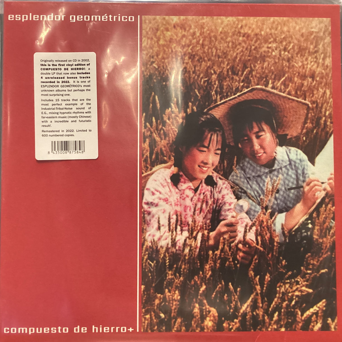 ESPLENDOR GEOMETRICO - Compuesto de hierro+ (LP)