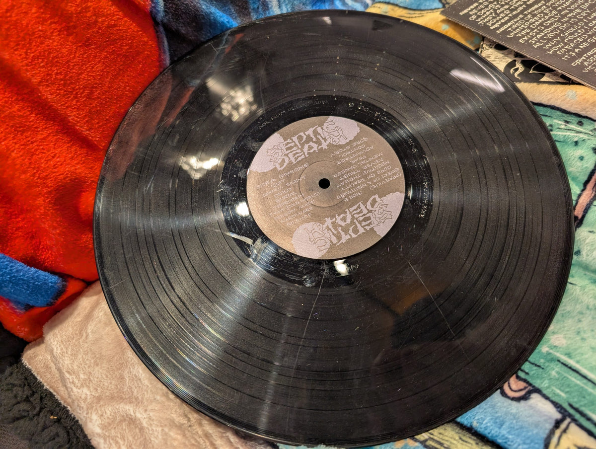 [USED] SEPTIC DEATH - NOW THAT I HAVE THE ATTENTION WHAT DO I DO WITH IT [DISCOGS]