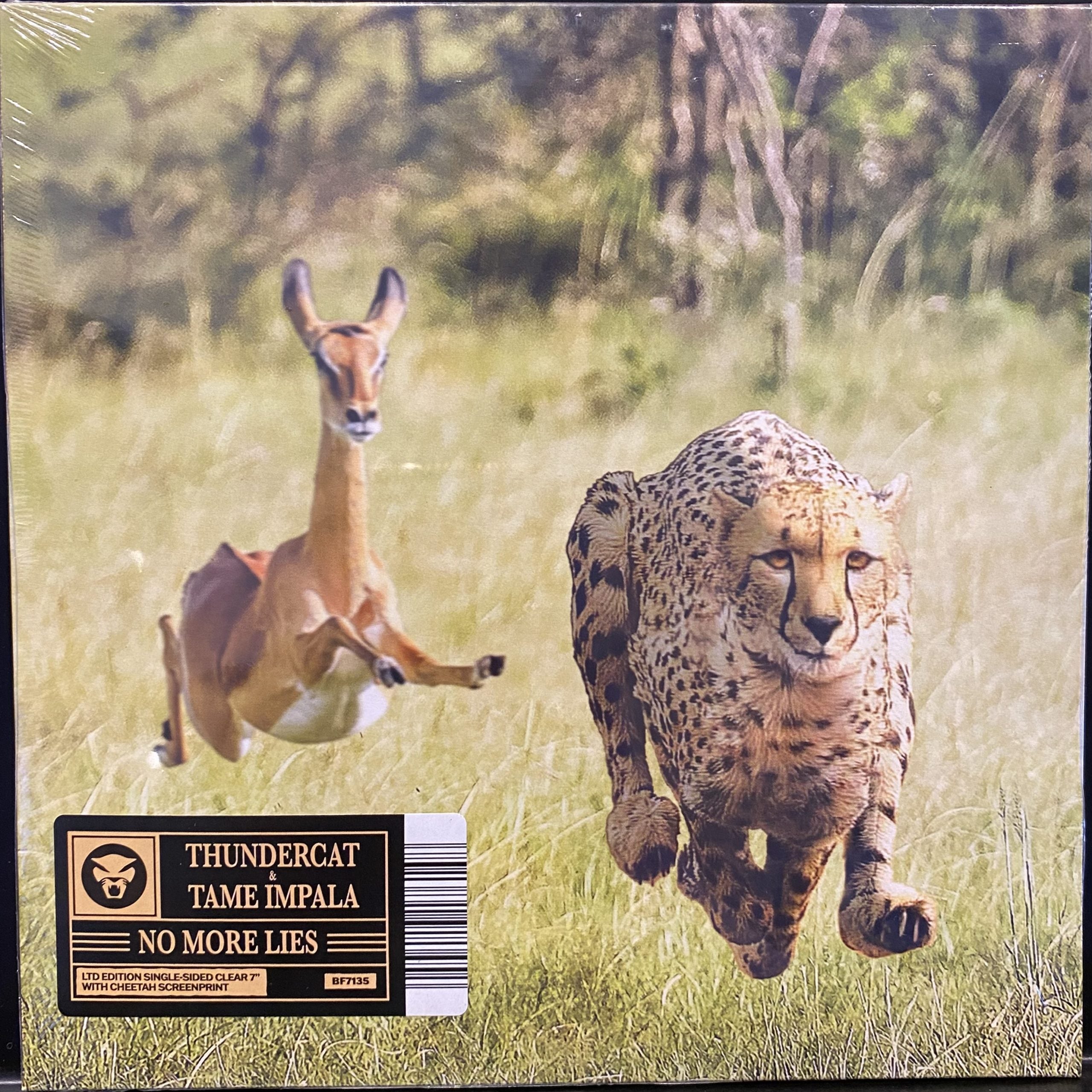 THUNDERCAT AND TAME IMPALA - NO MORE LIES (SINGLE)