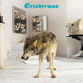 GRINDERMAN - S/T [ECO LP]