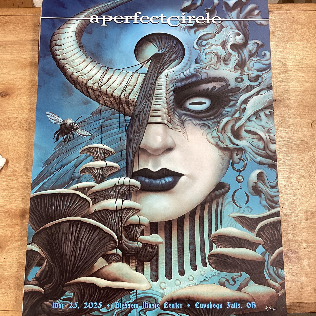 APC Poster Cuyahoga Falls, OH 5.25.2025