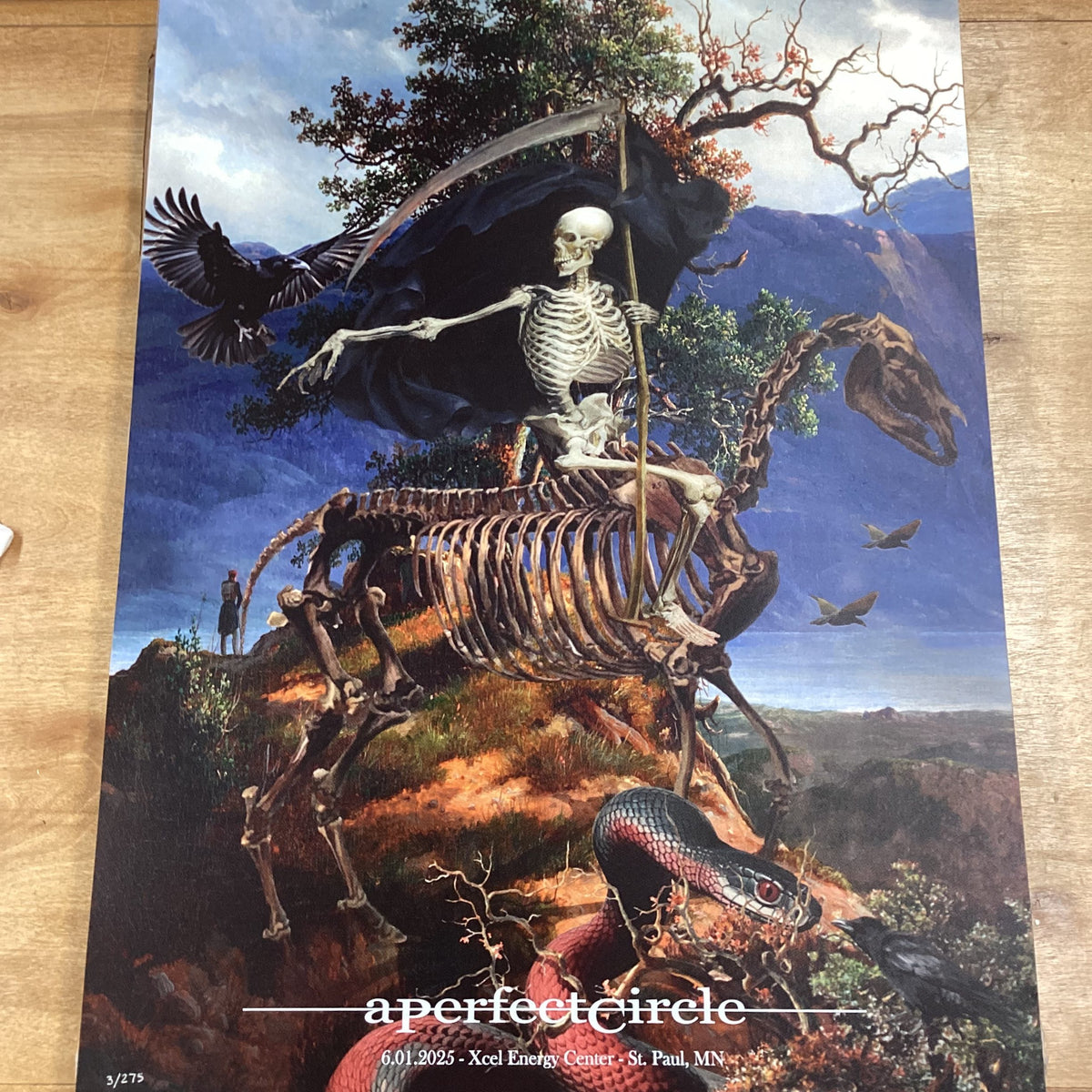 APC Poster St. Paul, MN 6.1.2025