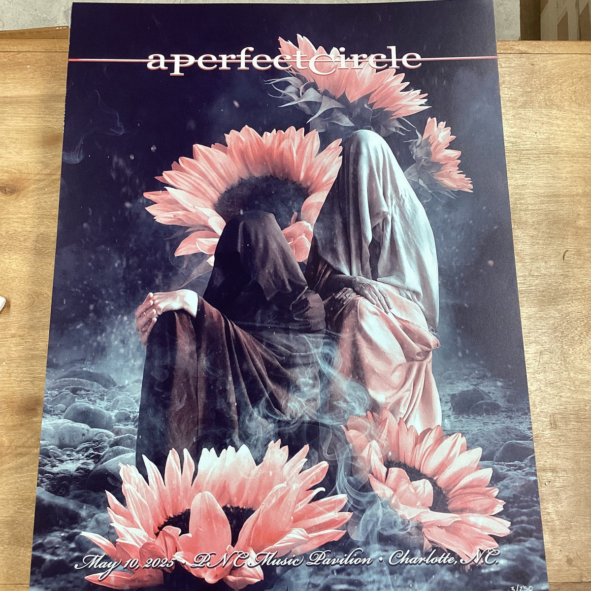 APC Poster Charlotte, NC 5.10.2025
