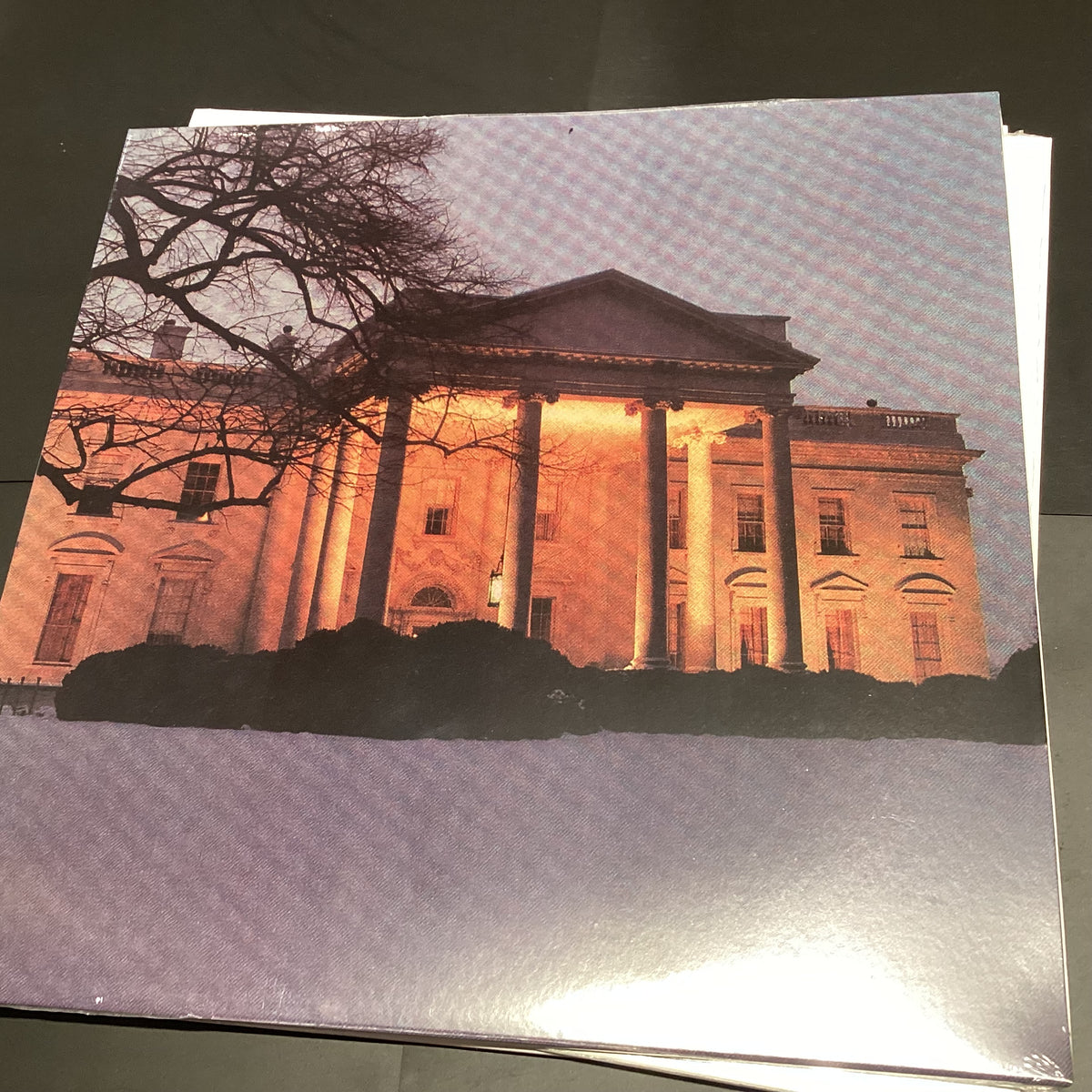 DEAD C - THE WHITE HOUSE
