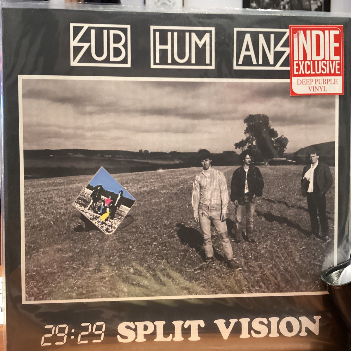 SUBHUMANS - 29:29 SPLIT VERSION (DEEP PURPLE VINYL))