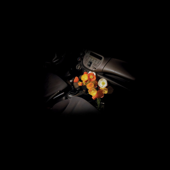 VERITY DEN - Wet Glass [LP]