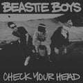 BEASTIE BOYS - Check Your Head (2 LP)