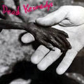 DEAD KENNEDYS - Plastic Surgery Disasters (140G) {LP}