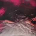 WILLIAMS, HAYLEY - Flowers For Vases/Descansos [LP]
