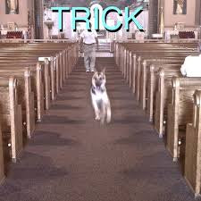 ALEX G - Trick {CD}