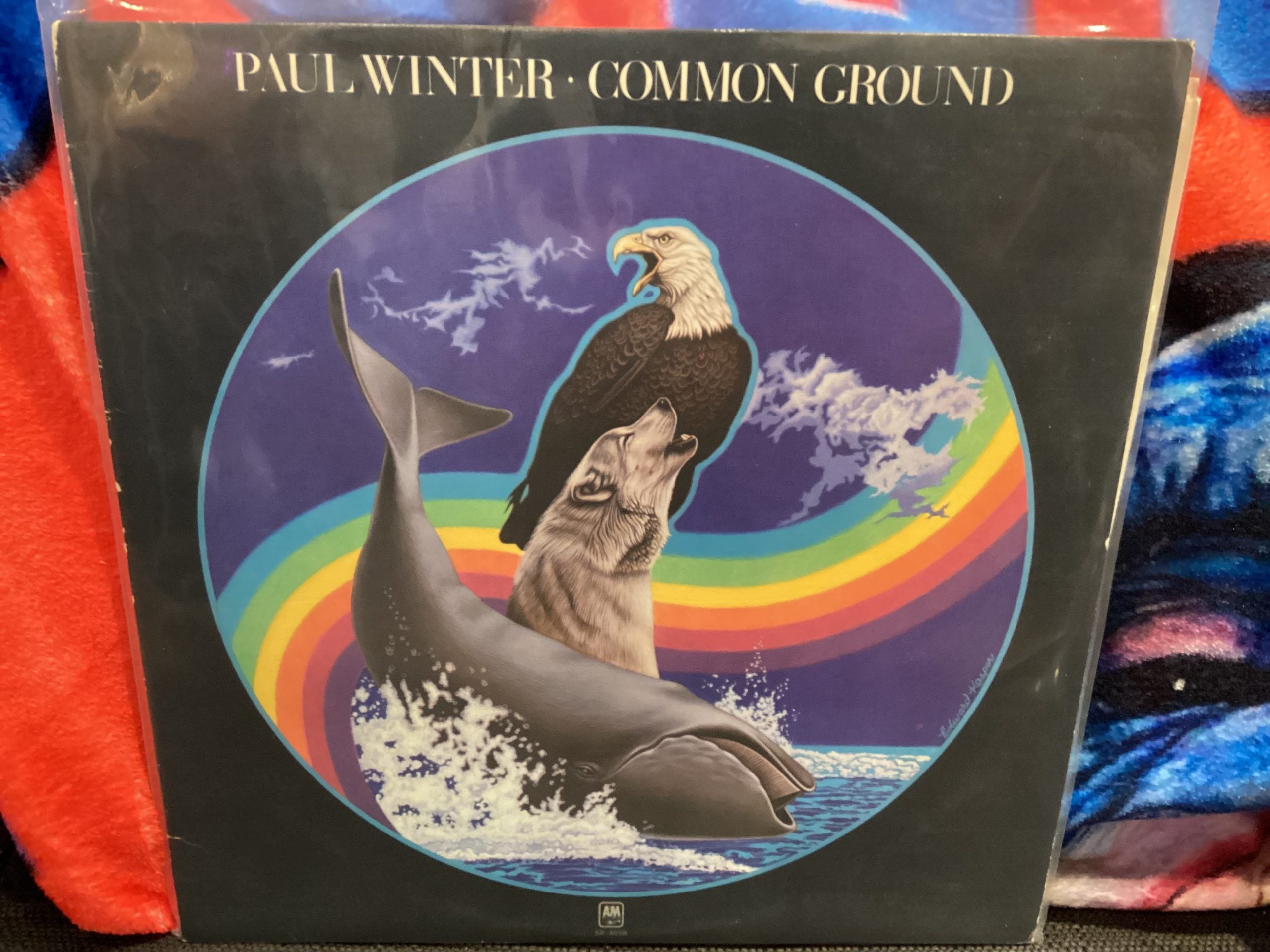 [USED] WINTER, PAUL Common Ground LP