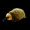 Echidna Soft Plush - Gage Beasley