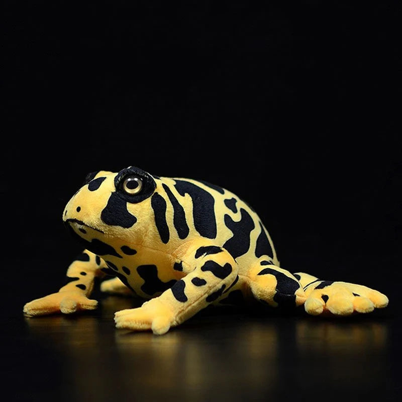 Poison Dart Frog Soft Plush - Gage Beasley