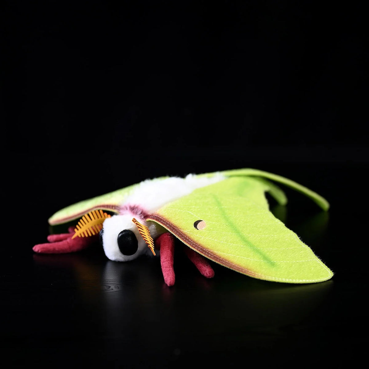 Indian Moon Moth Soft Plush - Gage Beasley