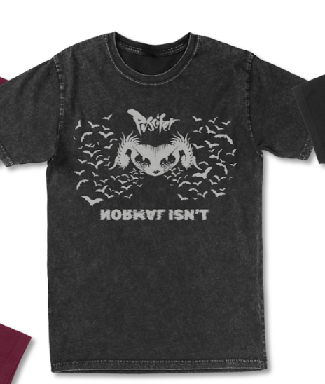 Normal Isn't - Bats Mineral Wash Tee / 3XL