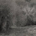 K. LEIMER - Atrophies For Piano [LP]