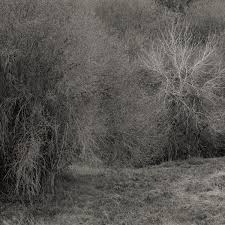 K. LEIMER - Atrophies For Piano [LP]