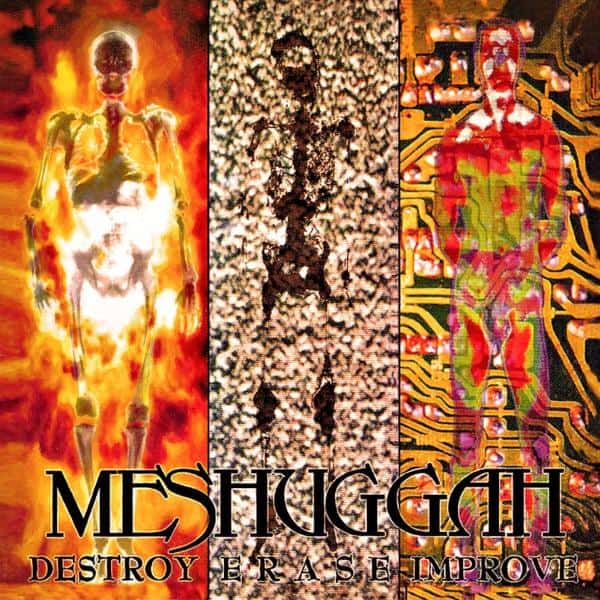 MESHUGGAH - Destroy Erase Improve 30th anniversary 2LP