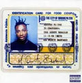 OL' DIRTY BASTARD- Return to the 36 Chambers: the Dirty Version [LP]