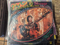 [USED] THE NIRVANA SITAR & STRING GROUP Sitar & Strings LP