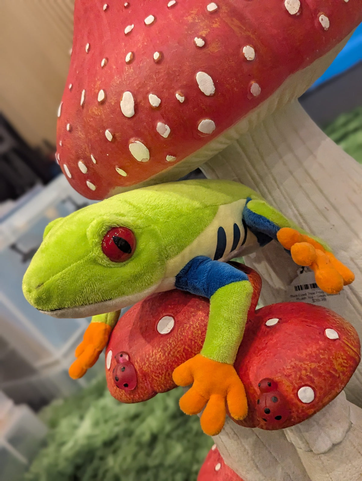Red-Eyed Tree Frog Soft Stuffed PLush Toy - Gage Beasley
