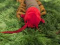 Chinese Red-Headed Centipede Stuffed Plush Toy - Gage Beasley