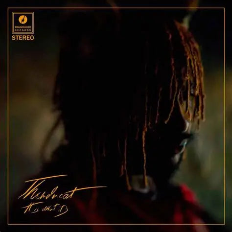 THUNDERCAT - It Is What It Is [140g Red LP]
