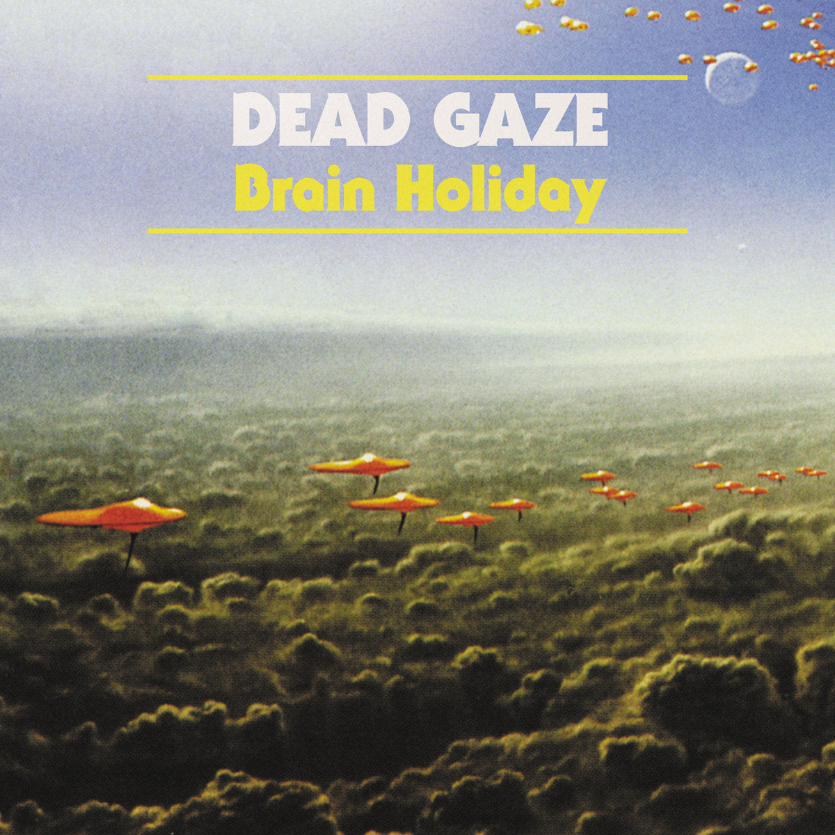 [USED] DEAD GAZE - BRAIN HOLIDAY LP