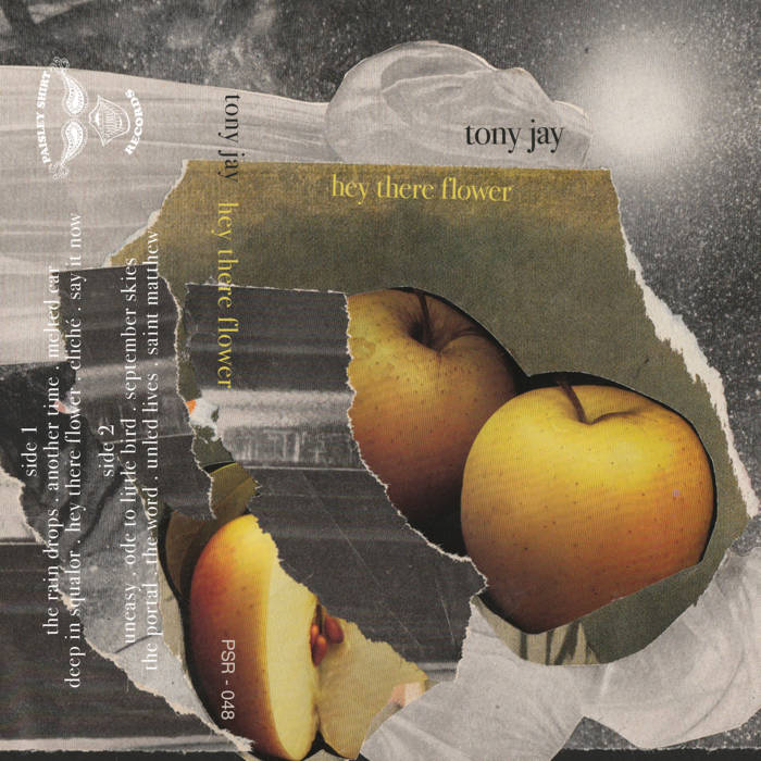 TONY JAY hey there flower LP