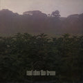 And Also the Trees LP RSD