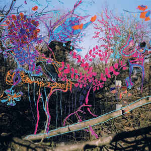 Animal Collective LP Here Comes The