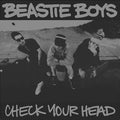 BEASTIE BOYS - CHECK YOUR HEAD (30TH ANNIVERSARY LIMITED EDITION)