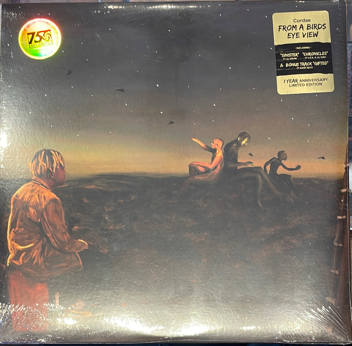 CORDAE From A Bird's Eye View [LP]