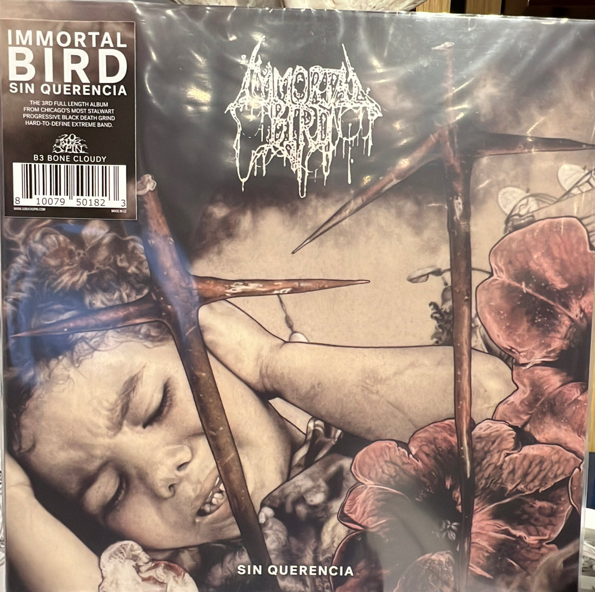 IMMORTAL BIRD - Sin Querencia (Bone Cloudy LP)