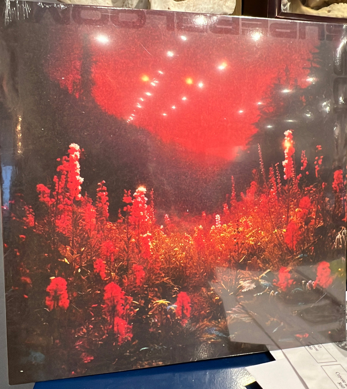 SILENT PLANET - Superbloom