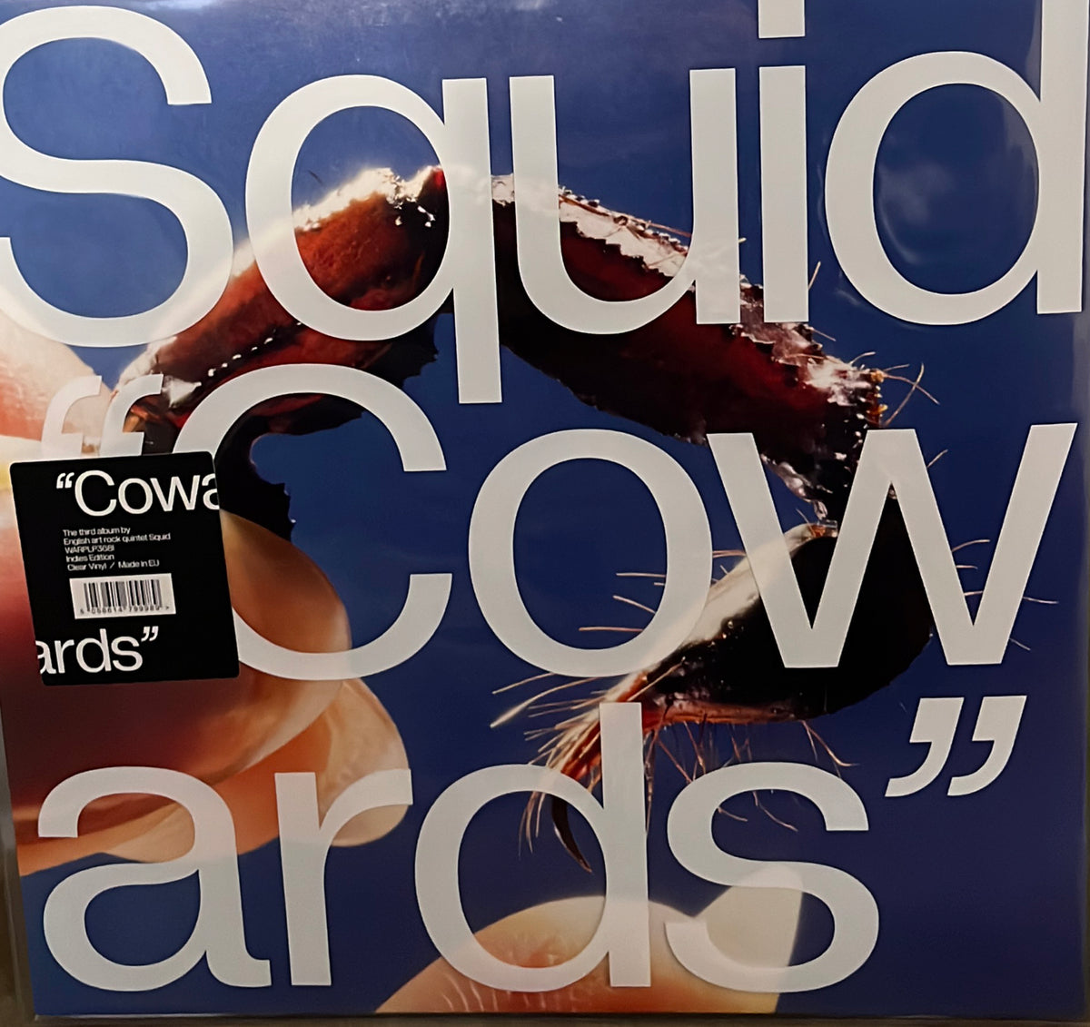 SQUID - Cowards (Clear Vinyl)