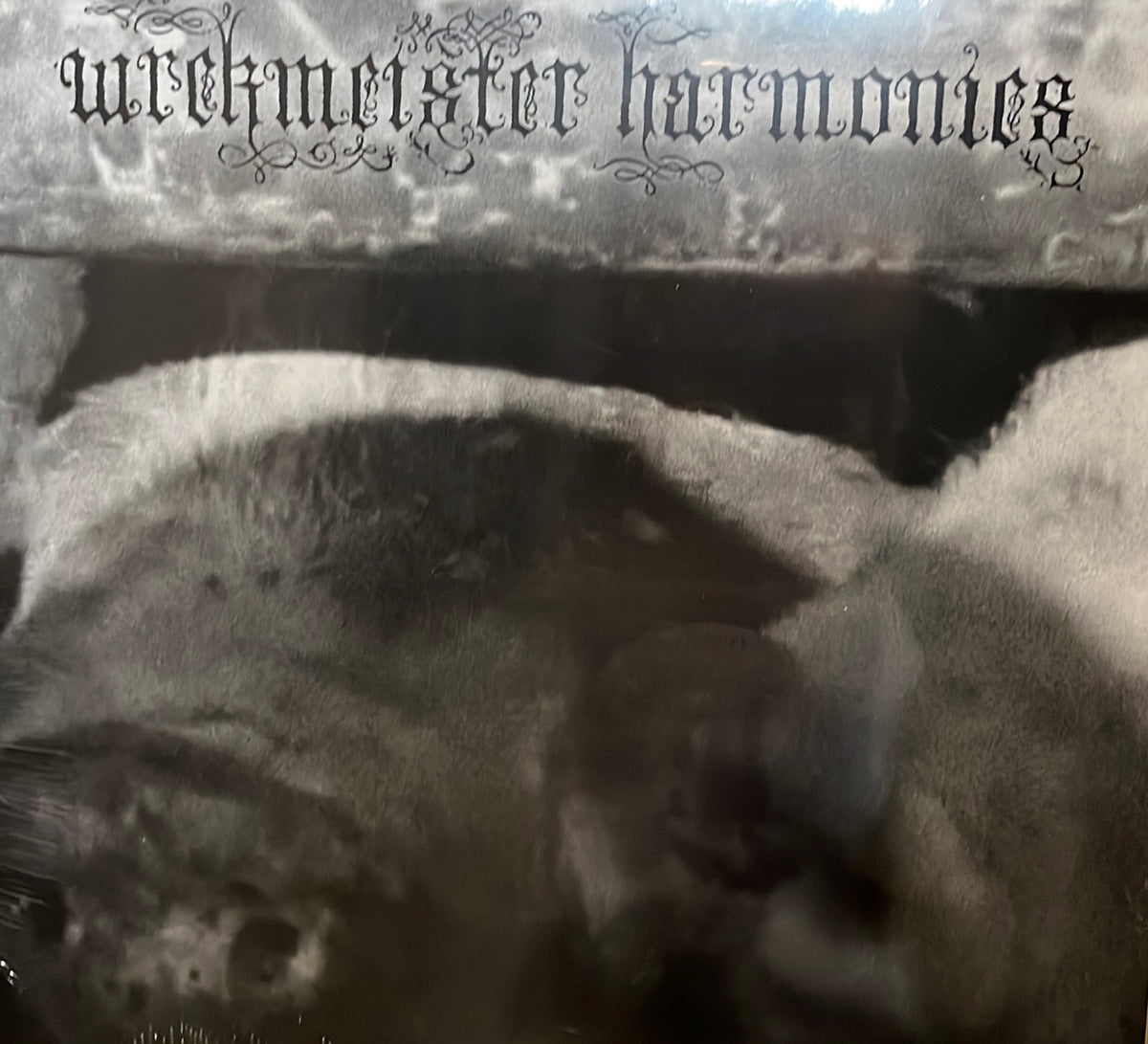 WREKMEISTER HARMONIES - Flowers In Spring (Opaque Pink Vinyl)