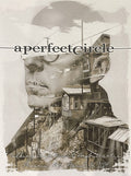 APC Poster Phoenix, AZ 4.16.24